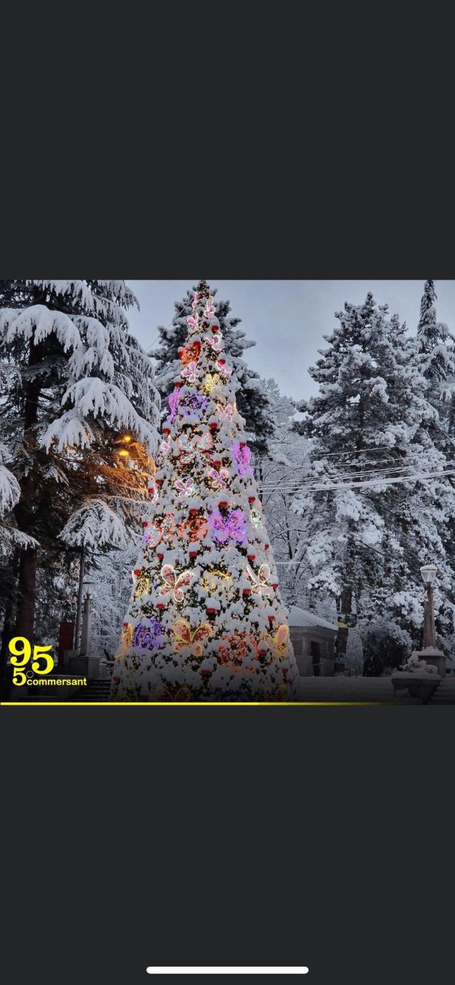 Appartamento Lizielene Borjomi Esterno foto